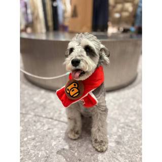 【 B.O.B 潮牌服飾代購 】 BABY MILO 寵物圍巾 ( 現貨馬上出 )