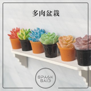 多肉盆栽 迷你 袖珍 植物 多肉 盆栽 花盆 娃娃屋 公仔 轉蛋 扭蛋 微景觀 擺件 辦公桌小物 擺飾 裝飾