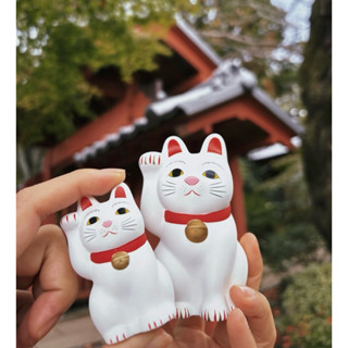 「臺灣現貨」豪德寺-招財貓《下單先私訊》✉️