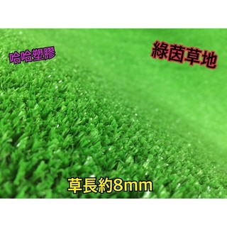 臺塑草皮正公司貨大俗賣! 防焰防燃証明 草地毯 人造草 高爾夫草 人造草皮 人工草皮 塑膠草 臺塑南亞正公司貨