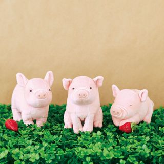 【yinhao】YOU+MORE!｜迷你豬寶寶收納包 節日 生日 交換禮物 療癒小物