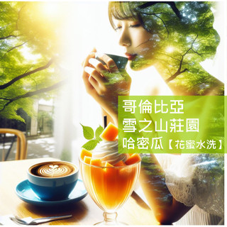 哥倫比亞 雪之山莊園 哈密瓜系列【水洗+瓜果發酵 】200克 咖啡豆