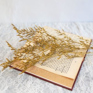 【莫森家居mosson】 現貨 乾燥卡斯 染色卡司 玻璃罩永生花