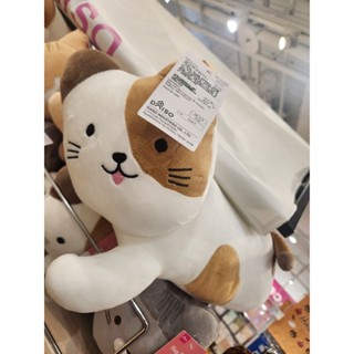 補貨到 DAISO 大創 可愛爆表 萌寵 可愛貓貓 側躺貓咪 立體造型抱枕 娃娃 玩偶 靠墊靠枕 填充玩具 貓奴必備