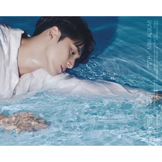 包手[SEVENTEEN 小卡皆需下包手]
