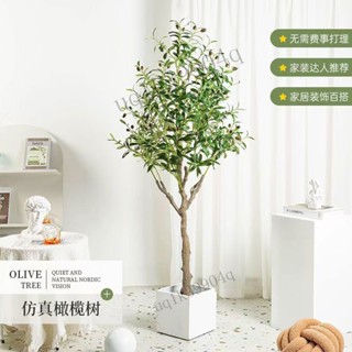 免運 可開發票 模擬綠植橄欖樹盆栽室內大型北歐風客廳服裝店裝飾假植物落地擺件居傢裝飾 仿真植物 人造樹 假樹 假植物 X