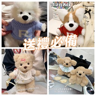 獨家授權超多款 DIY手工玩具 交換禮物 填充玩偶 DIY玩偶 毛絨玩具 交換禮物 送女朋友 同學 小朋友 可動可錄音