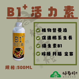 《植春樹》B1+活力素 500ML/現貨/促進根系生長 維生素B1 育苗分株 /花卉園藝 瓜果葉菜 果樹 /植物營養液