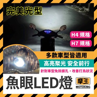 摩王👑 Force JET SL DRG 魚眼 LED燈 A8 L8 RTD魚眼 雷騰魚眼 機車魚眼 H4 H7