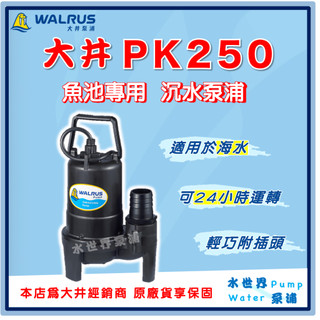 ❗最便宜❗【水世界泵浦】🌸免運🌸 大井 PK250 2" 魚池專用 沉水泵浦 抽水馬達 海水養殖 水龜 沉水泵浦 抽污水