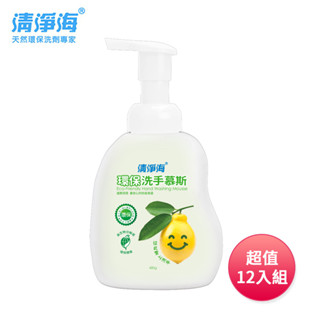 免運 清淨海 環保洗手慕斯480g超值家庭號12入組