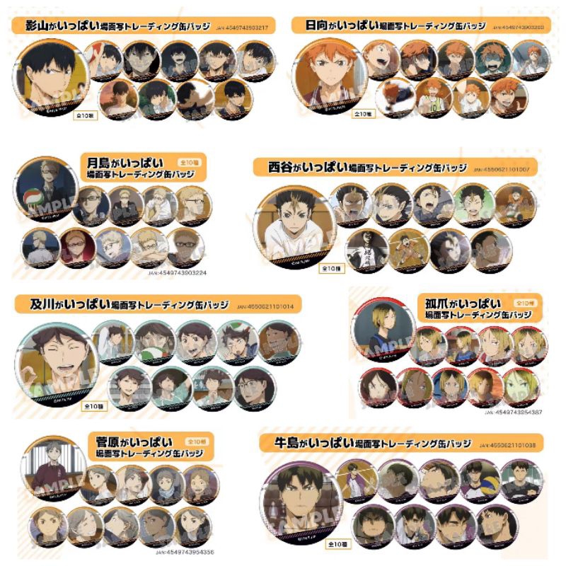 【現貨】排球少年 TV柄 個人池 徽章 日向翔陽 影山飛雄 月島螢 菅原孝支 孤爪研磨 黑尾鐵朗 西谷夕 及川徹