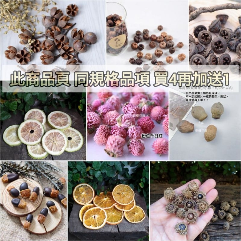 乾燥果實種子聖誕花圈乾燥花DIY材料包-台灣現貨出貨 同規格買4顆加送1顆 尤加利橡果紫薇小南瓜學生教學萬聖節裝飾收蒐集