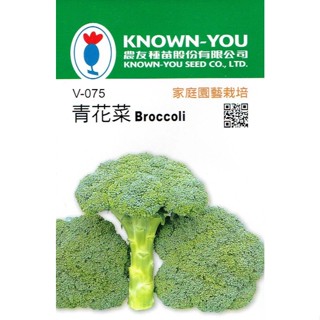 育材【開心田園樂】種子 青花菜 約200粒 喜溫涼乾燥氣候