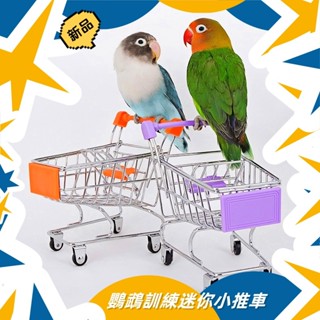 臺灣現貨 推車 購物車 鸚鵡訓練迷你小推車 適合各式鸚鵡 訓練 鳥類 運動 玩具 訓練加強