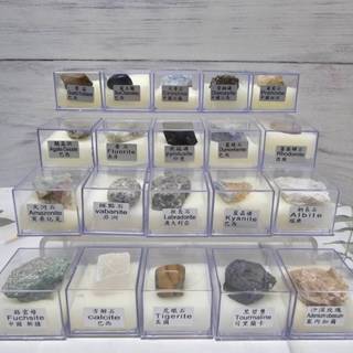🫧奇幻世界能量水晶🫧 天然水晶原石礦石 水晶標本套盒 水晶礦物晶體 化石原礦 礦標標本 擺件