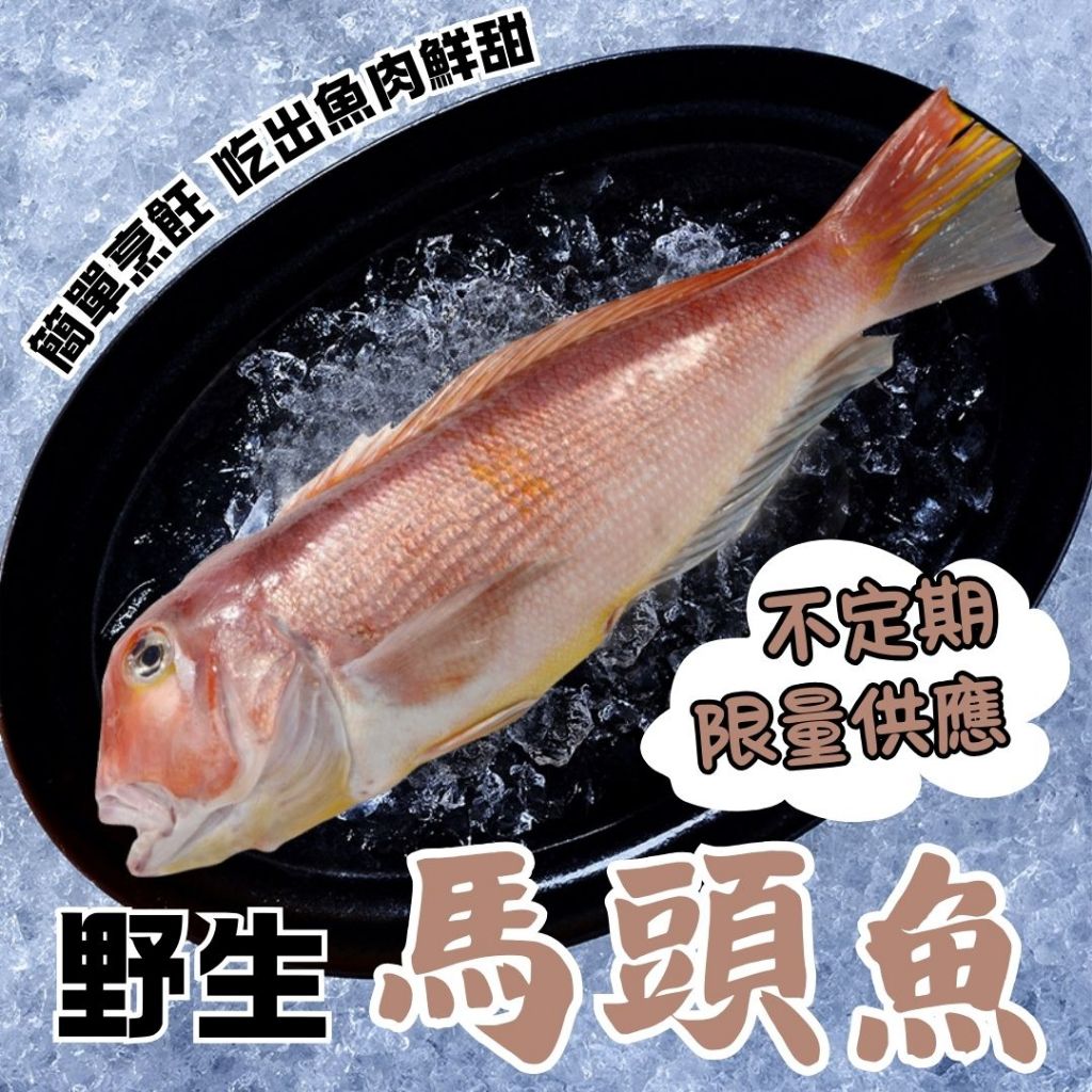 馬頭魚｜優惠推薦- 蝦皮購物- 2026年1月