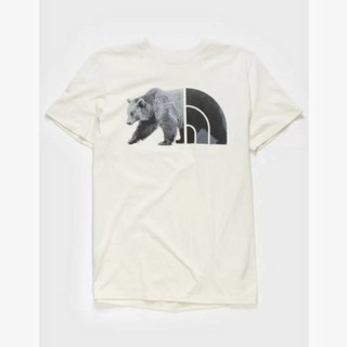 北臉 The North Face logo 花卉蝴蝶 山脈 重磅 棕熊 短tee 短袖 短t 幾何