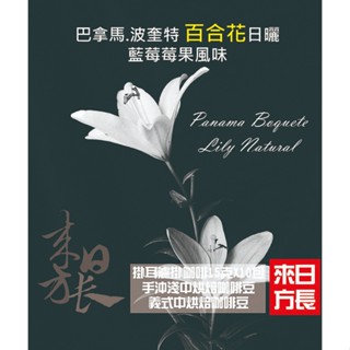 巴拿馬 波奎特 百合花日曬 藍莓莓果風味淺中烘焙(義式中烘焙)咖啡豆/掛耳濾掛/咖啡豆-來日方長咖啡烘焙