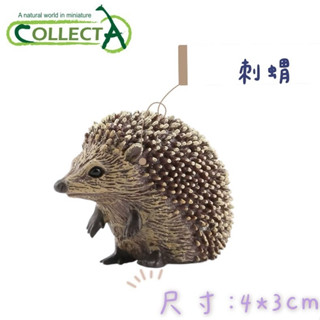 【MRW】CollectA 英國高擬真模型 刺蝟 模擬 野生動物 動物模型 公仔