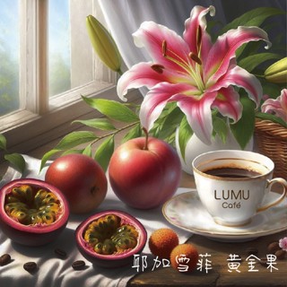 耶加雪菲 黃金果 衣索比亞 G1 雙重厭氧處理 新鮮手沖咖啡豆 美式咖啡 瀘沐咖啡 比星巴克還要好喝