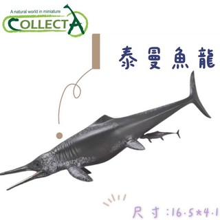 CollectA 滄龍 棘龍 海王龍 帝王鱷 劍龍 劍齒虎 泰曼魚龍 恐龍 模型
