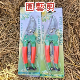 ✨園藝剪✨修枝剪 果樹剪 剪定鋏 菱角剝殼剪 檳榔剪 花剪 樹枝剪 彎型 園藝修枝剪 園藝剪刀 修枝剪刀 園林剪 剪刀