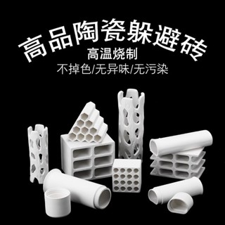 後開甕 皇宮 白宮 樹洞【慢慢魚】白色力量 異型專用陶瓷甕 平口 繁殖甕 異形躲藏 躲避罐