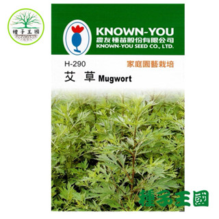 種子王國 艾草種子 艾蒿【香藥草種子】驅蚊草 每包約100粒 農友牌 彩色原包裝種子