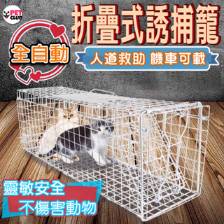折疊式誘捕籠 補貓神器 防咬手套 無隔間靈敏 機車可載 腳踏折疊式 抓貓籠 流浪貓籠 誘貓籠 TNR誘捕 人道救援