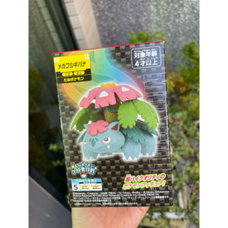 [Takara Tomy]超級妙蛙花公仔❤️全新現貨