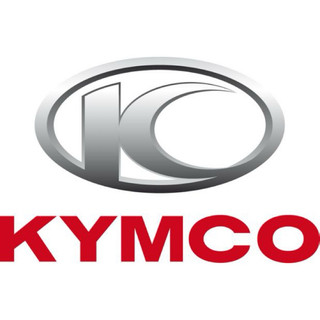 KYMCO 光陽原廠 64303-LAD9-900 前頂蓋 G4 前盾