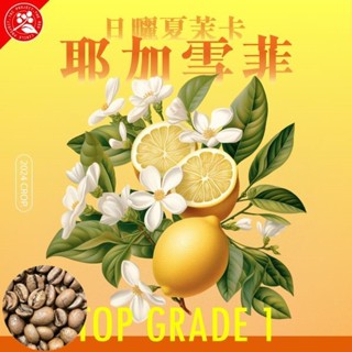 《小城現烘精品咖啡》下單現包 衣索比亞 日曬 夏茉卡 | 濾掛式 耳掛包 | 耶加雪菲 頂級 G1 淺烘焙