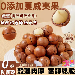 堅果之王帶殼夏威夷果 澳洲夏威夷果 Macadamias 送開果器 夏威夷果 夏威夷豆 越南進口 帶殼夏威夷果 堅果