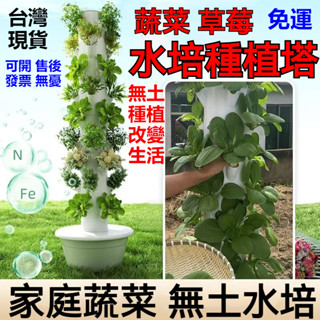 公司貨 可開統編 免運 陽臺無土栽培蔬菜裝置 水培植物 水耕 水耕植物 水耕盆栽 種植箱 種菜架 種菜機 種菜箱 水培盆