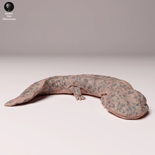 Tazo工坊[AD] 日本大鯢pose1Japanese giant salamander 3D列印模型JW