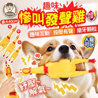 慘叫雞發聲玩具【24H快速出貨🚚】尖叫雞 慘叫雞 發聲玩具 寵物磨牙 磨牙玩具 寵物玩具 狗狗玩具 發聲玩具 狗玩具