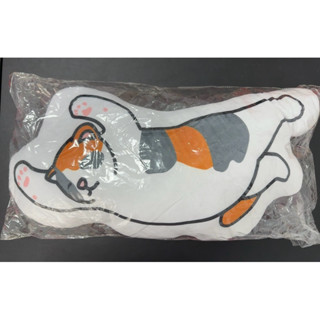 【全新 現貨】休眠動物園-造型抱枕 靠枕 睡覺貓咪款🐈