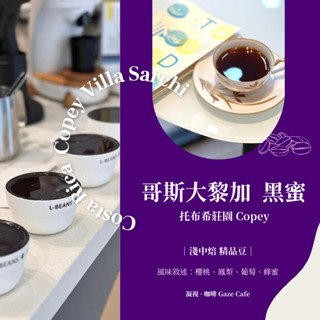 【世界盃 臺灣 亞軍 2023烘豆大賽 】Copey 黑蜜 哥斯大黎加 咖啡豆 手沖咖啡 黑咖啡 莊園咖啡豆 精品咖啡