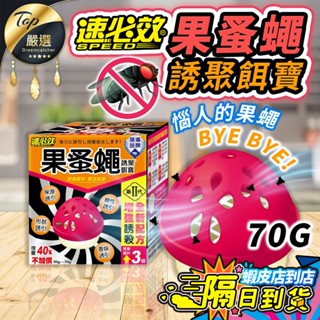 【現貨 免運費！加量版70g】速必效 果蚤蠅 誘聚餌寶 果蠅餌劑 捕蠅 除蟲 果蠅 蚤蠅 捕蠅器 餌劑 速必效果蚤蠅