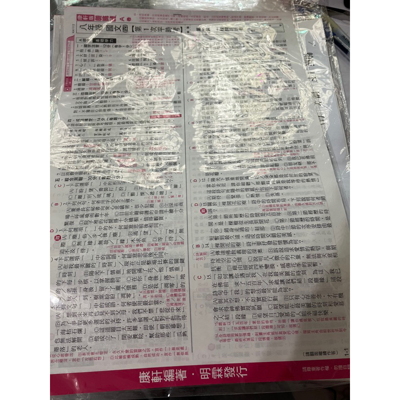 ɴᴇᴡ【113下_2下.8下康軒國中 國文（師用)考卷