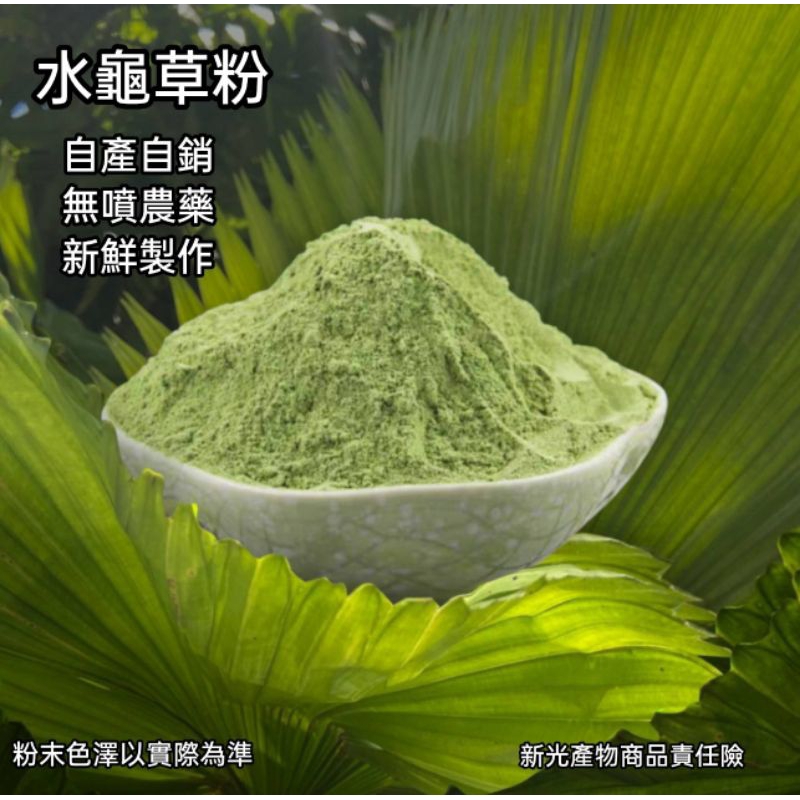 【柚樂木】水龜草粉 100g 水龜草 吊竹草 鴨跖草 竹夾菜 水龜草 鴨拓草 水龜 精力湯 綠拿鐵 憂遁草 吊竹梅