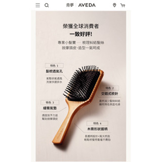 🪮現貨當日寄🪮AVEDA 隨行按摩梳 Mini Paddle Brush 梳子