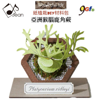 紙模型 紙植栽DIY材料包 亞洲猴腦鹿角蕨 9028423 紙風景 手作 擺飾 紙模型紙雕 裝飾 DIY