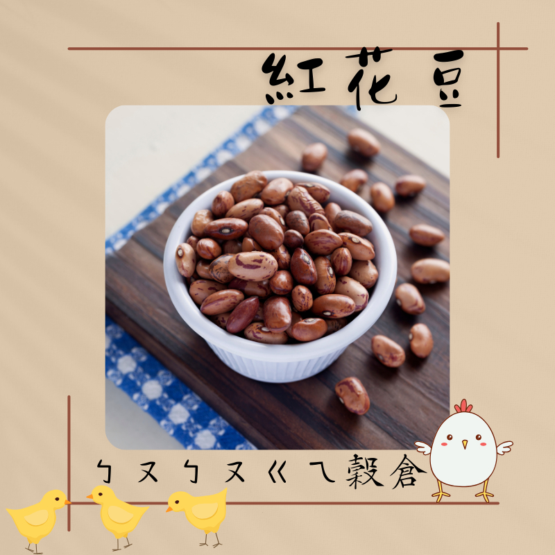 紅花豆- 大紅豆 花豆 大豆 豆類 穀物