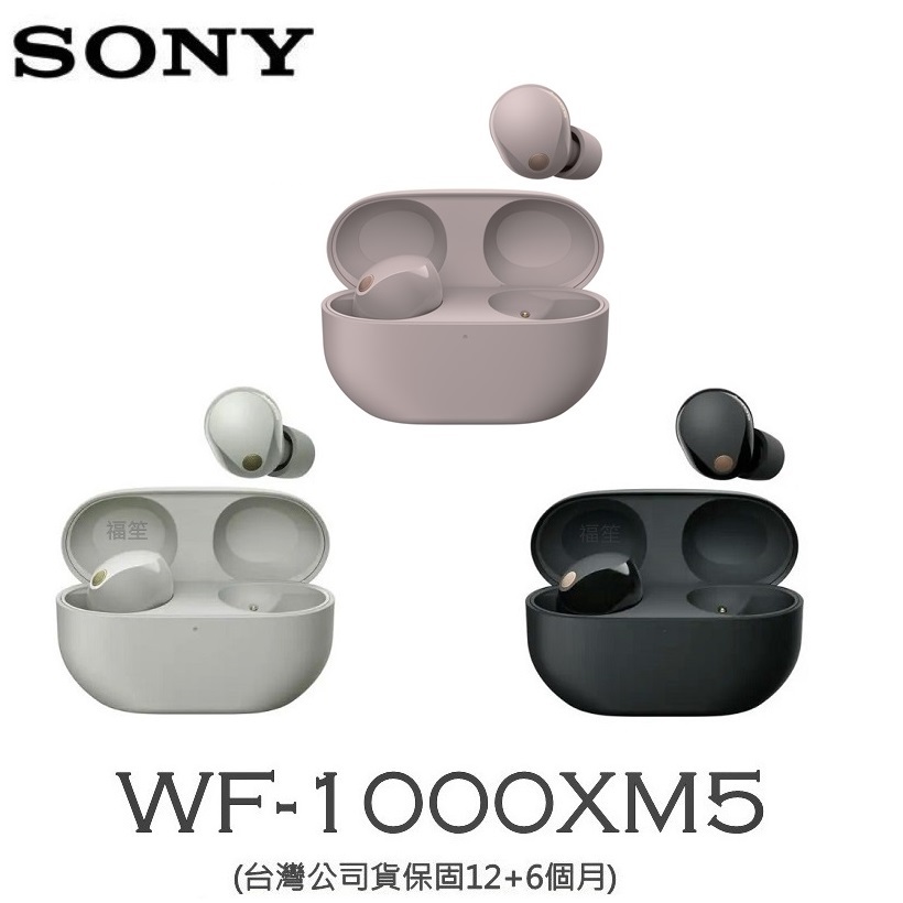 SONY WF-1000XM5【送矽膠保護套】真無線降噪 藍牙耳機 (台灣公司貨保固18個月)