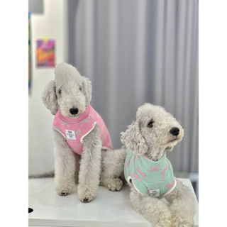 🐶BOBO_PET🐶韓國代購🚫預購款勿自行下單🚫大寶寶專區 浪漫蝴蝶結彈力針織背心 寵物衣服 大狗衣服 狗狗針織衫