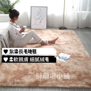北歐風-漸層渲染長絨毛地毯 地毯 防滑地毯 裝飾 墊子 地墊 加厚毛 長毛地毯 絨毛地墊 可水洗 客廳 臥室床邊毯