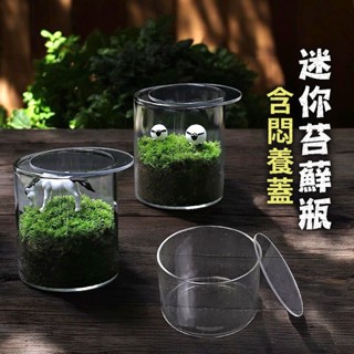 附悶養蓋【草葉日和】苔蘚 花器 玻璃花瓶 迷你苔蘚瓶 微景觀 盆栽 生態瓶 多肉植物 室內植物 花盆 玻璃花瓶
