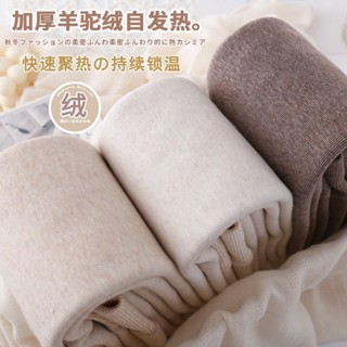 🔥日韓新品🔥光腿神器 襪褲 絲襪 加絨刷毛 磨毛發熱 防勾 保暖褲 打底褲 棉質 燕麥色連褲襪秋冬季加絨加厚 高腰打底褲